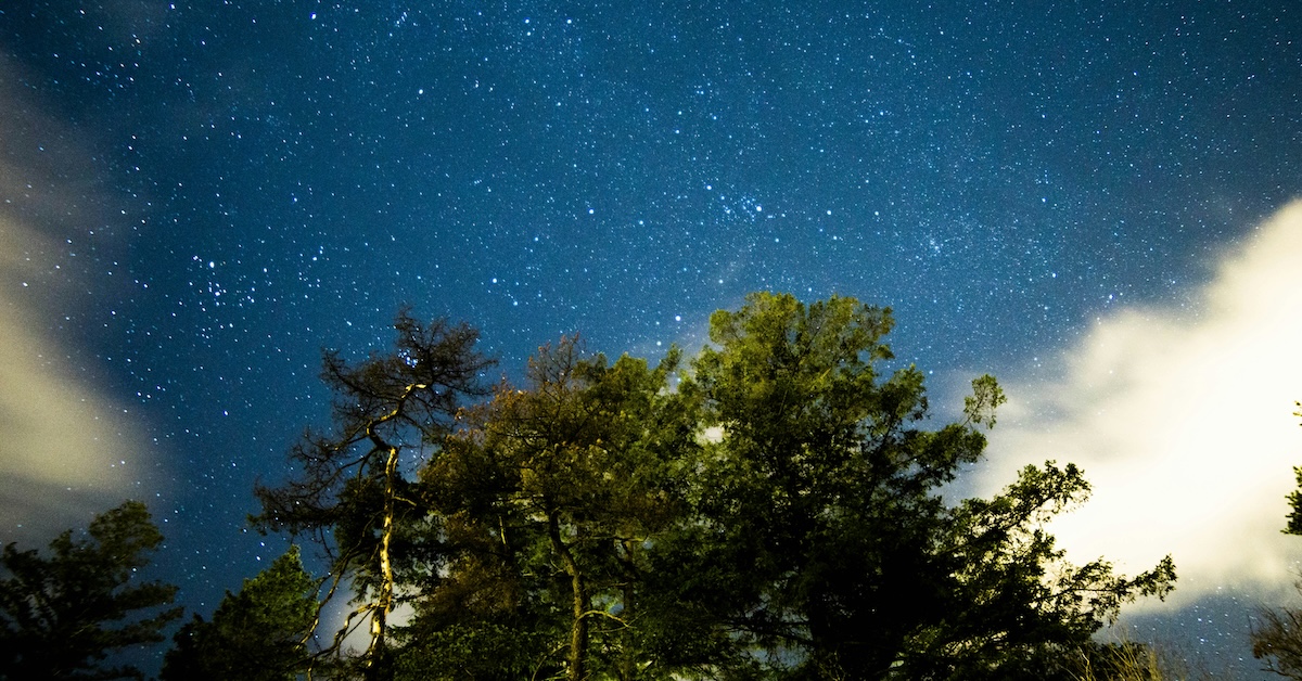 Nature's Therapy: Walking to Soften Unexpressed Grief